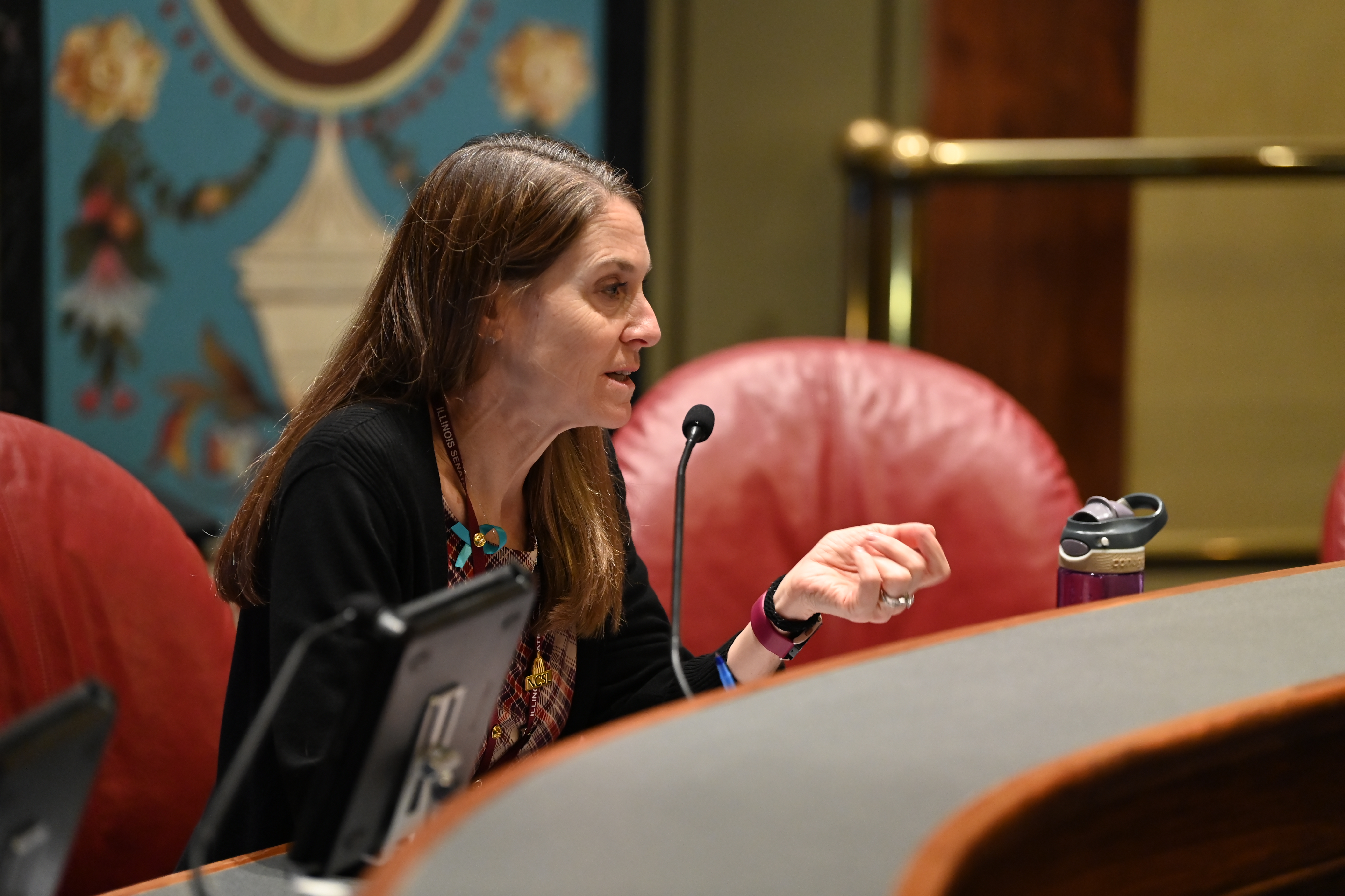 State Senator Laura Fine