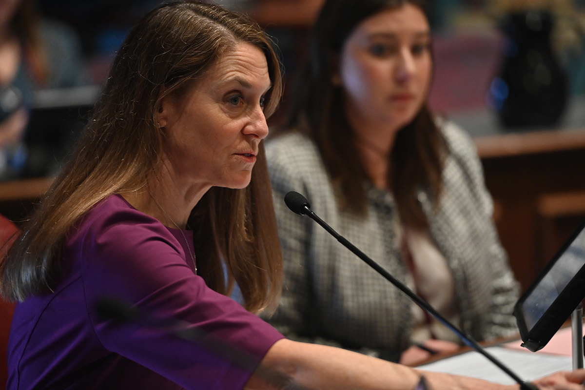 Senator Laura Fine in committee 