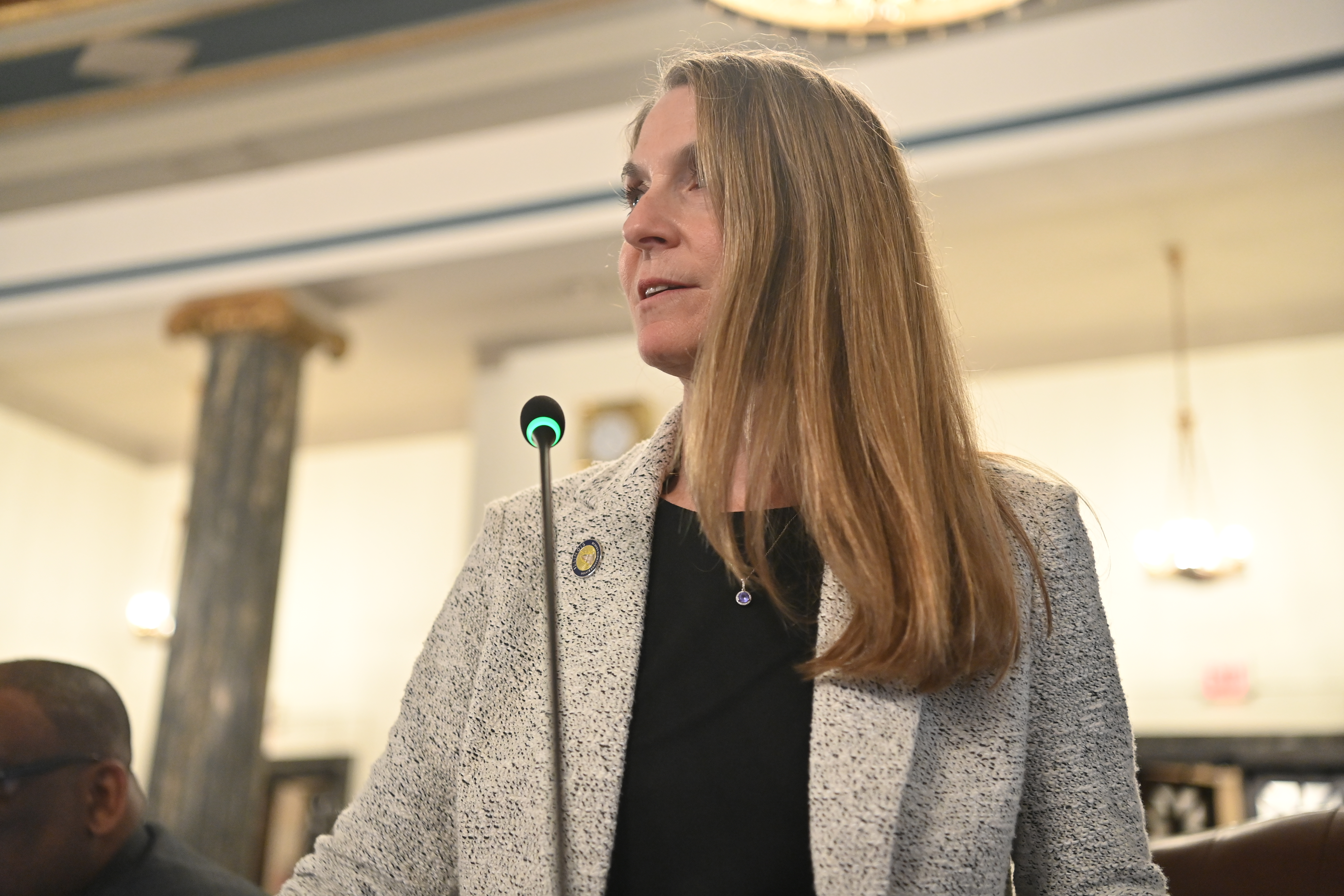 State Senator Laura Fine
