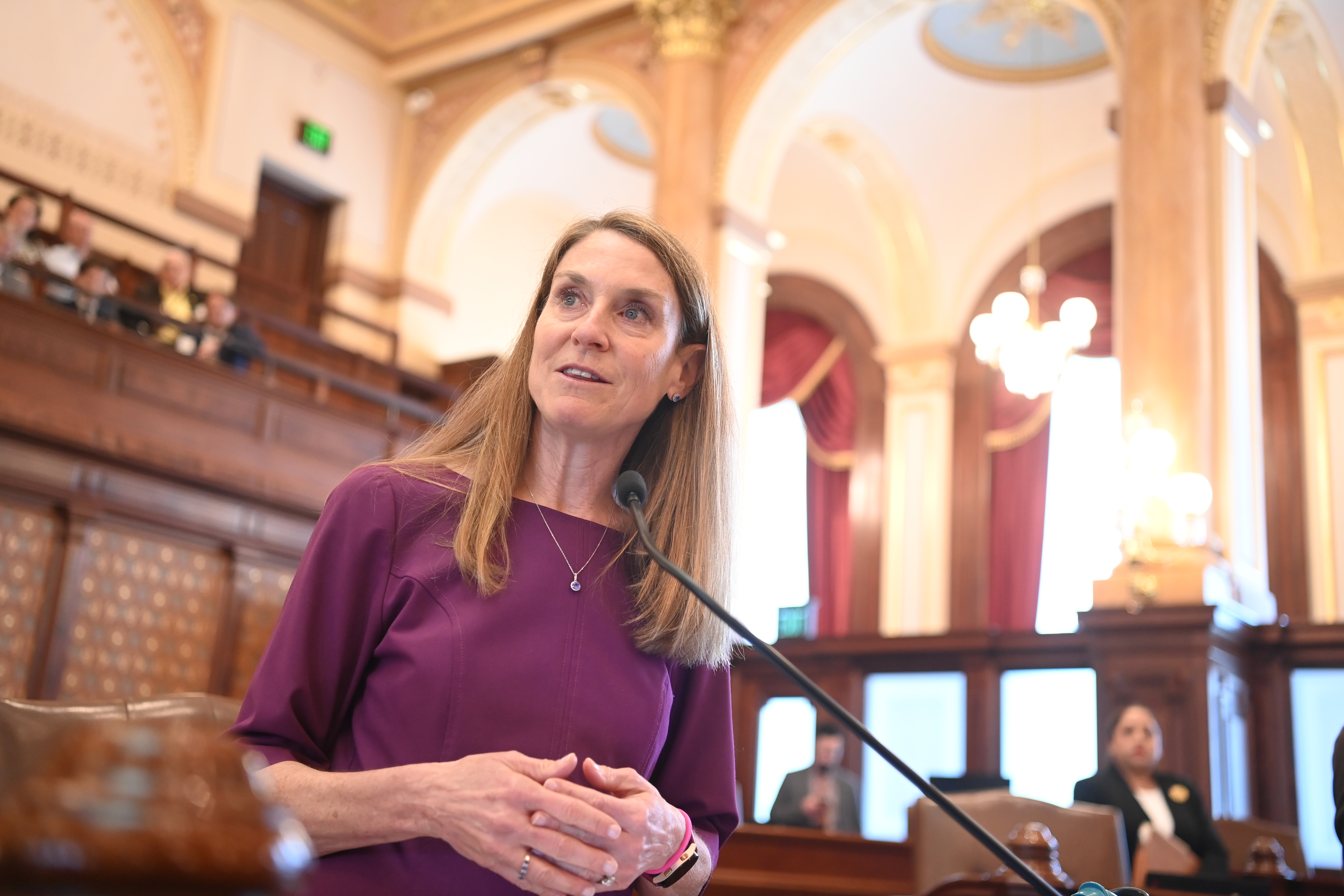 State Senator Laura Fine