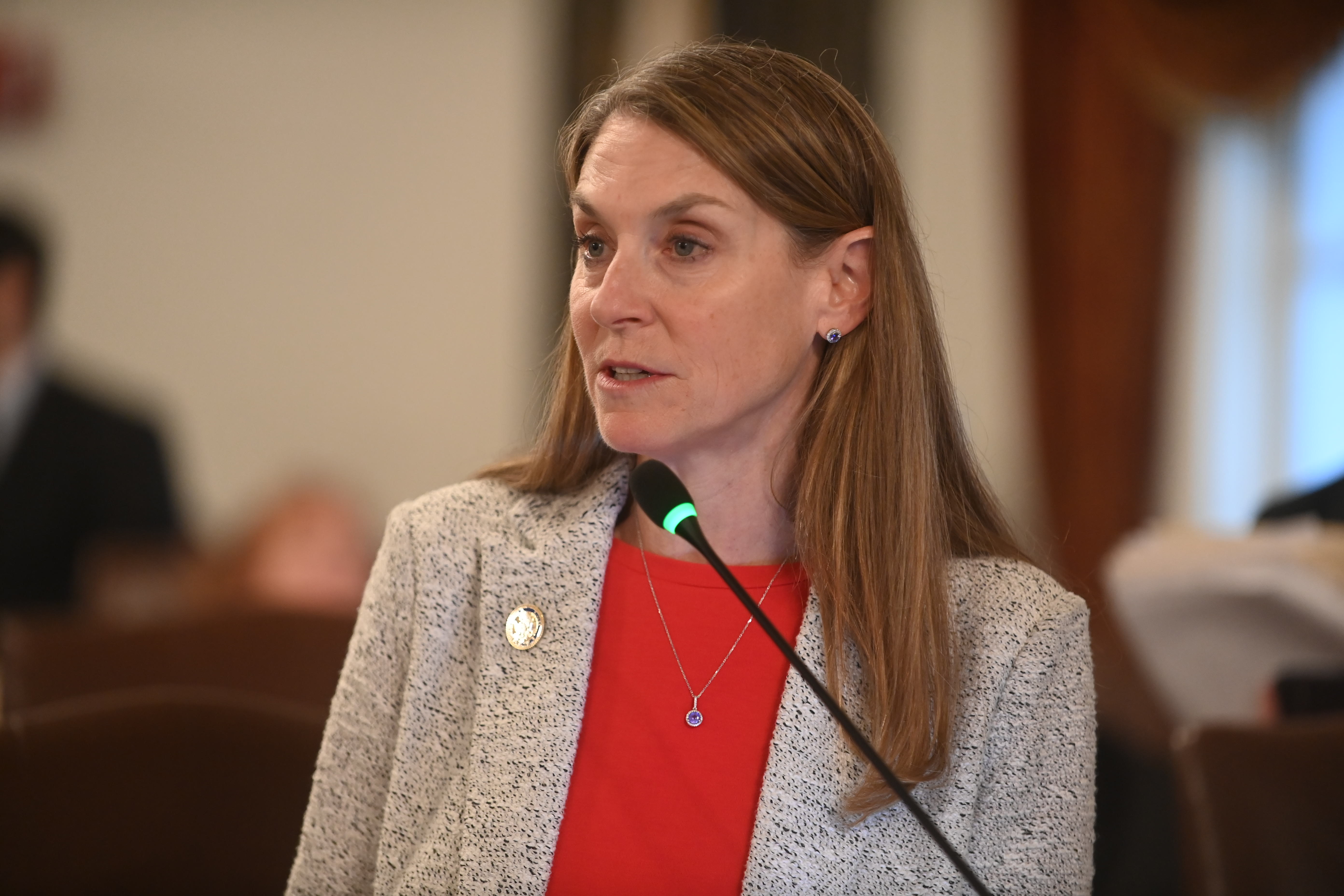 State Senator Laura Fine