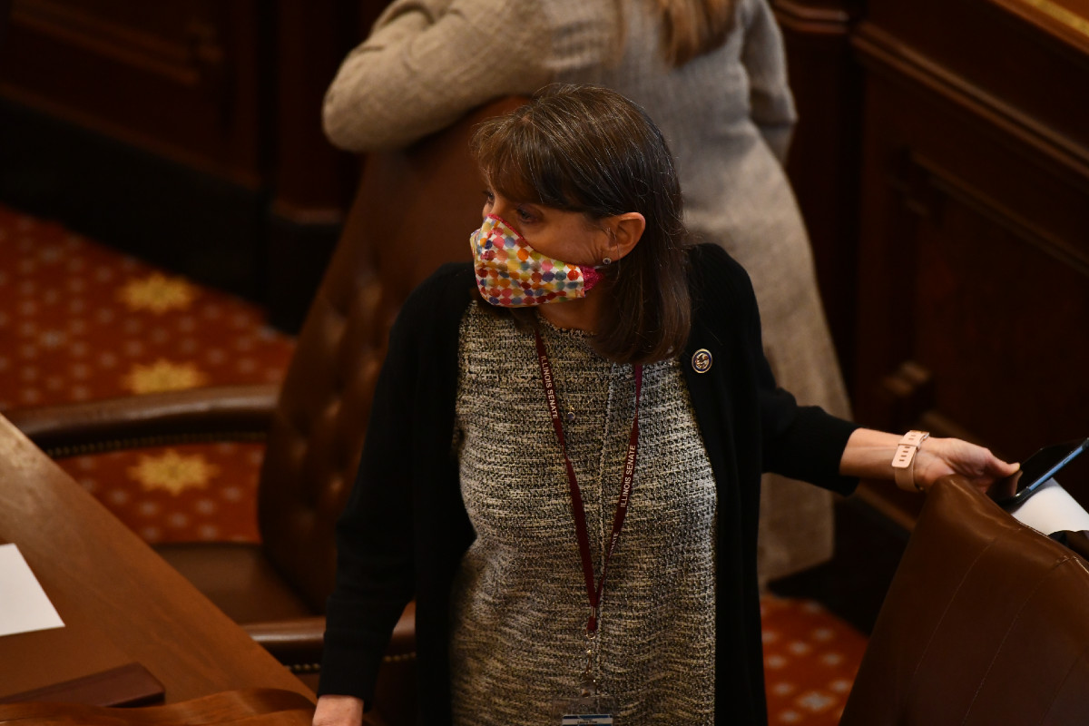 Senator Fine on the Senate Floor