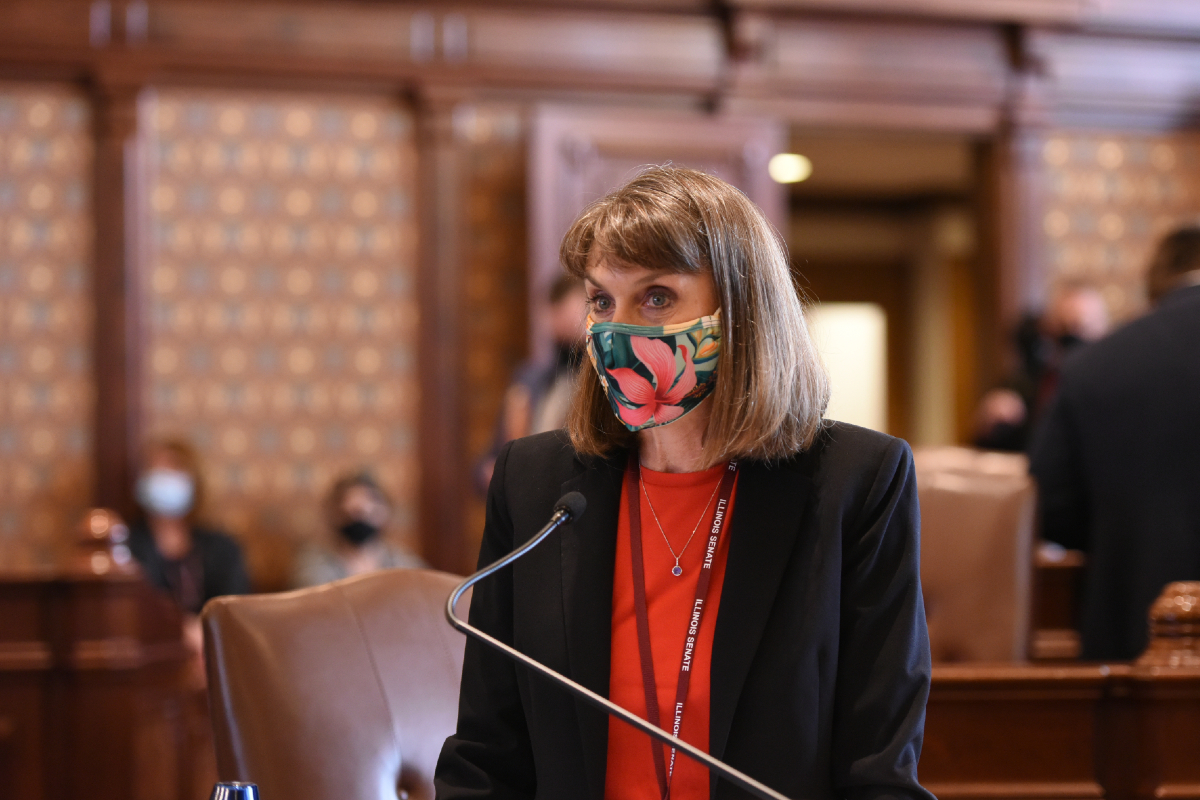 State Senator Laura Fine on the Senate floor