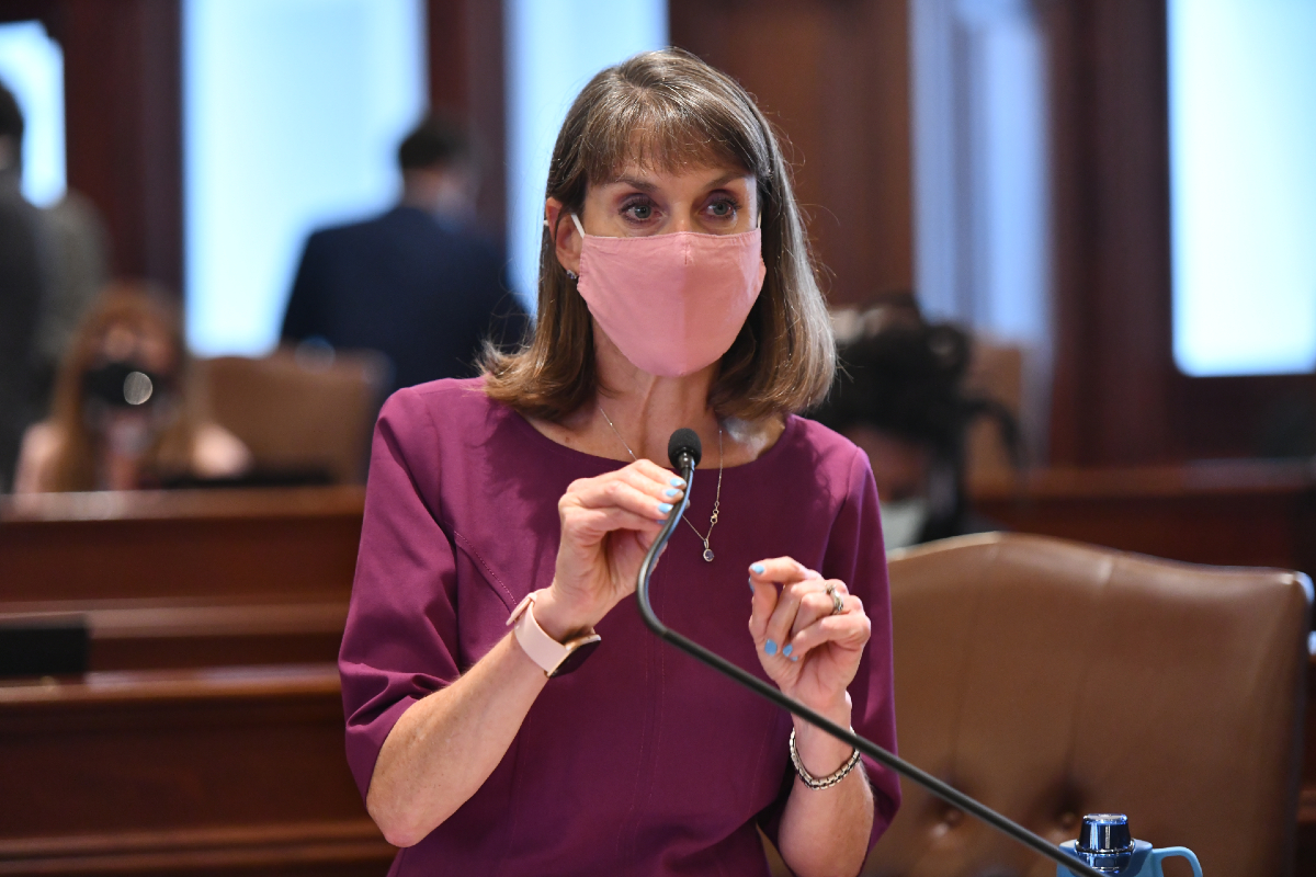 State Senator Laura Fine on the Senate floor