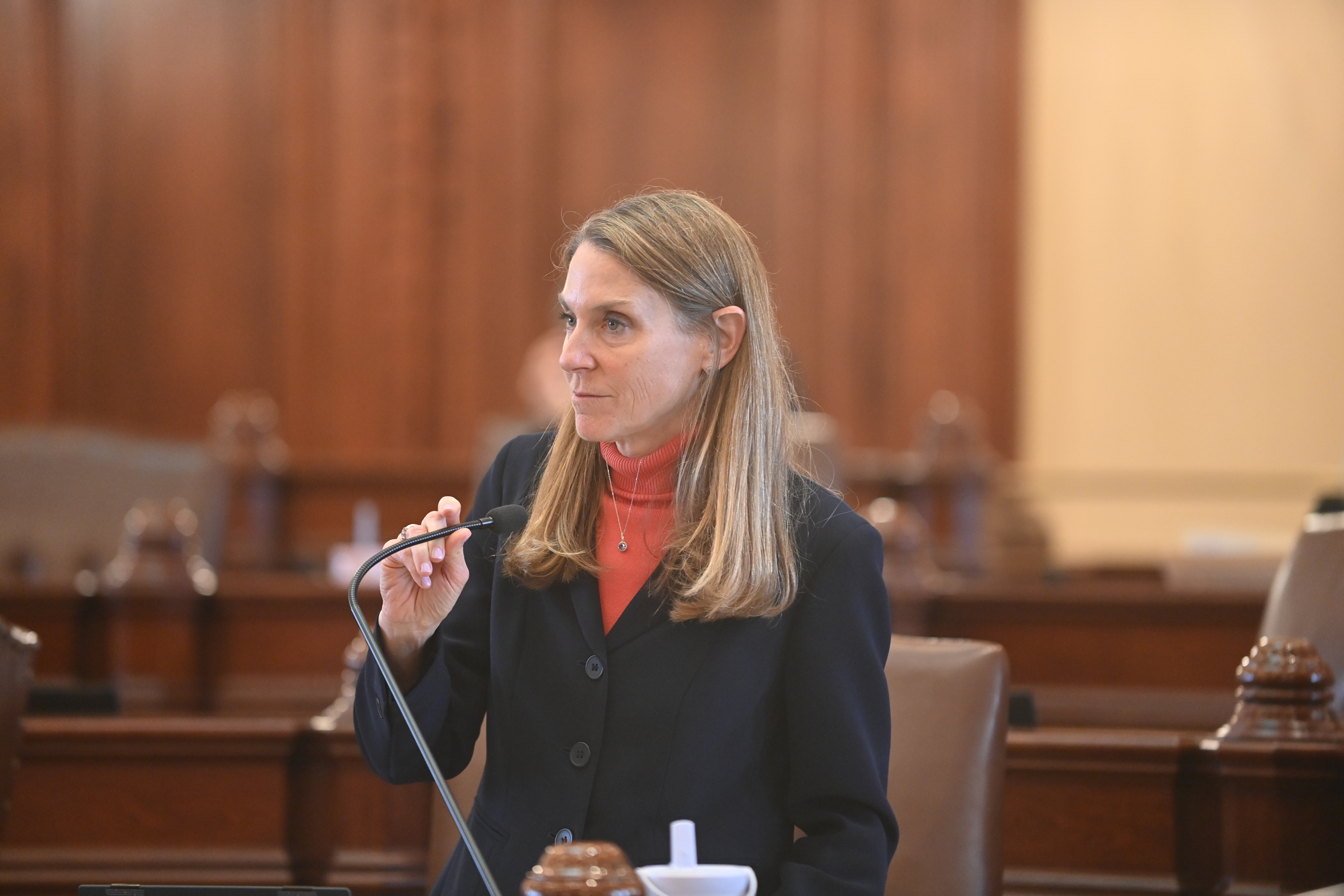 (Photo) State Senator Laura Fine