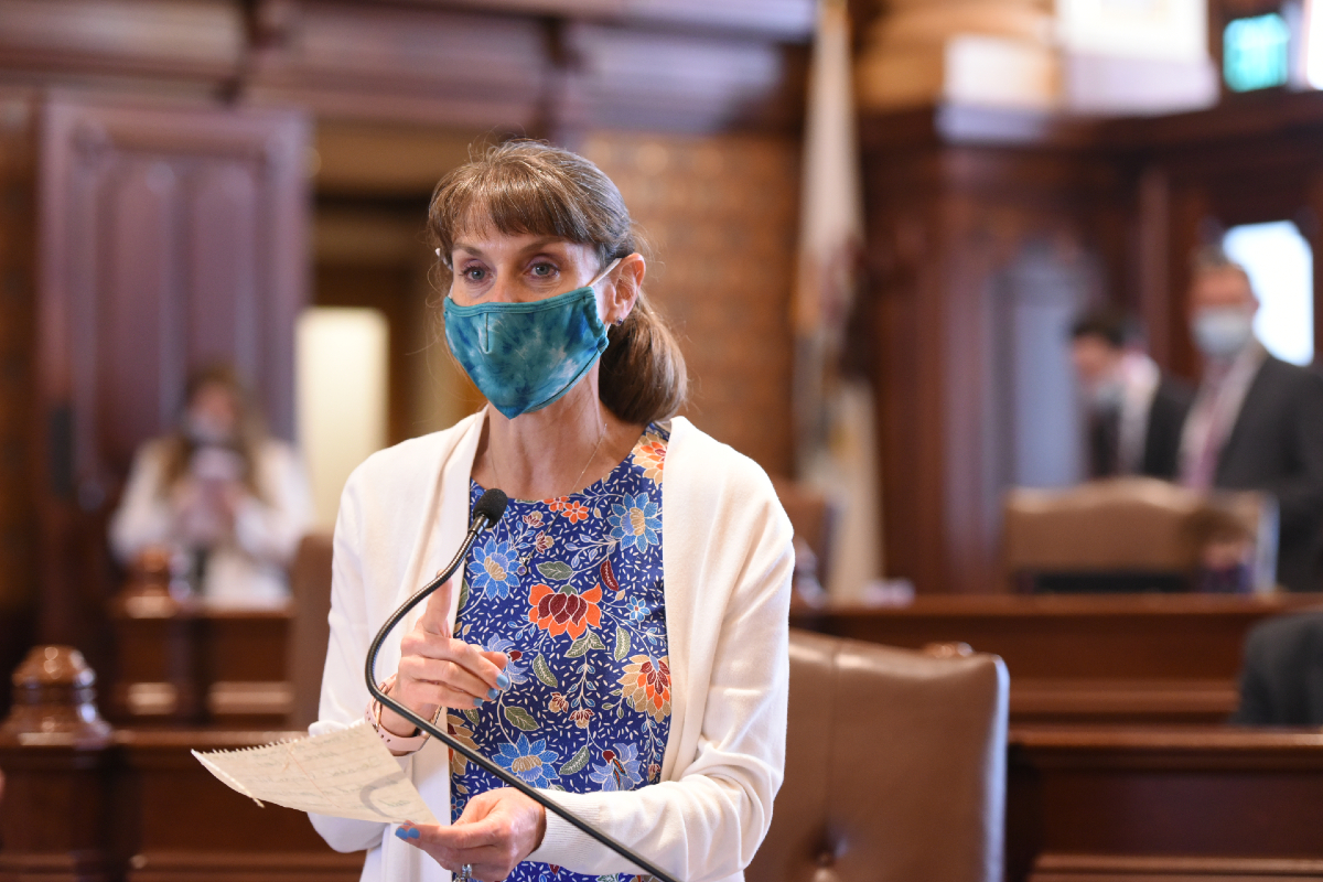 State Senator Laura Fine on the Senate floor